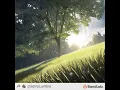 Mourning Light