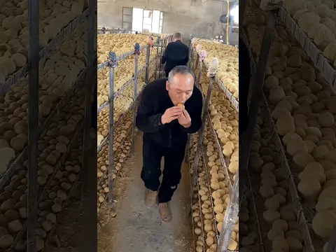 El Extraño Snack de Papá 😳😂