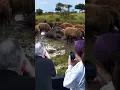 Download Lagu MOMEN TAK TERDUGA SEEKOR HYENA TERJEBAK DI PERUT ANAK GAJAH #animals #foryou