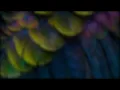 MC Meno K - Lembrei de Tu (Letra)