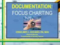 FUNDA LECTURE Focus or DAR Charting