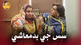 fazilat begum sindhi funny video sas ji badmashi