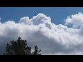 A Short Of My Walk in the Pine Barrens to Otsego Park