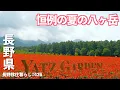 Moving to Nagano Summer in Yatsugatake The scenery and vegetables are amazing Yatsugatake