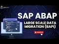47 Introduction to BAPI for large scale data migration