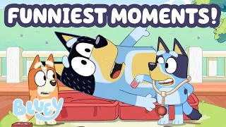 30 MINUTES of Hilarious Bandit Moments Bluey Laughs and Silly Fun Bluey