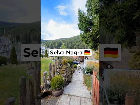 Selva Negra 🇩🇪