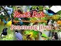 Download Lagu Rindik Bali Penenang Jiwa Dengan Kicauan Burung Dialam