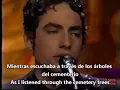 The Wallflowers - One Headlight subtitulado español ingles live best version