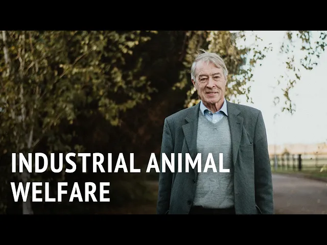 Industrial Animal Welfare | Prof. Donald Broom