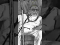 Download Lagu #बाळासाहेब #ठाकरे on #आंबेडकर #मराठवाडा #विद्यापीठ #speech #castism