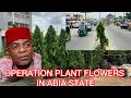 Lagu DR ALEX COMMERCE PLANTING FLOWERS 🌺 AFTER FIXING OUR ROADS
