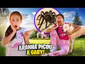 Download Lagu ERA PARA SER SÓ UMA ROTINA, MAS A GABI FOI PICADA POR UMA ARANHA  ( Susu e família)