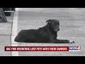 OKC fire reuniting lost pets with their owners