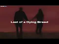 Joji - Last of a Dying Breed (Sub. Español + Lyrics)