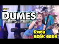 Download Lagu THE CELENG - DUMES - SHINTA ARSINTA ( RATU ESEK ESEK ) Satu panggung di bikin esek esek
