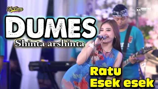 Download THE CELENG - DUMES - SHINTA ARSINTA ( RATU ESEK ESEK ) Satu panggung di bikin esek esek MP3