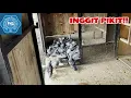 UMIIYAK NA BASHER!!