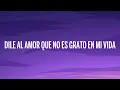 Aventura - Dile Al Amor (Letra/Lyrics)