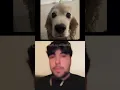 Download Lagu My dog bombastic #viral #dog #bombastic