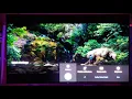 NETFLIX KILLER DOLBY VISON SETTINGS FOR THE Z9F 950G 950H