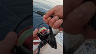 اجمل صوت في الدنيا Fishing Fishingvideo Egypt Fyp 