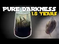 Download Lagu Keeping Pond Life in COMPLETE DARKNESS for 1.5 YEARS