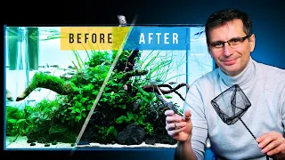 Download Fixing a CLADOPHORA ALGAE Infested Aquarium! MP3