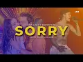 Download Lagu SORRY - Pawan Singh, Justin Bieber | Bhojpuri X English Mashup 2025 | Sahni Beatz | DJ Acid