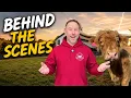 Behind the Scenes at Fluffy Feather Farm The People Animals Moments You Don t Usually See