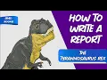 How to Write a Report Writestyler Rookie Level