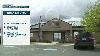 NOAA layoffs may affect NWS forecast offices