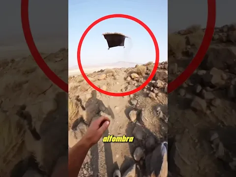 Si ves esta alfombra en el aire ¡no te subas!😱