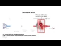 USMLE Step 1 How to solve Shock Questions Up and Down arrows