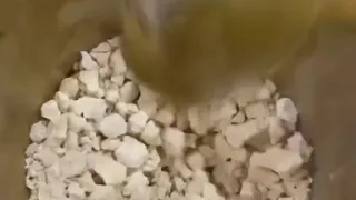 يا محمد خل جرحي 