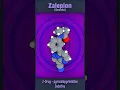 Zaleplon Sonata Sleepy Shortcut