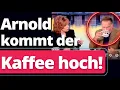 Download Lagu Sensation: Arnold Schwarzenegger reißt Grün-Linke Talkshow auseinander!