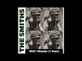 Download Lagu The Smiths - Well I Wonder (1 Hour) MP3