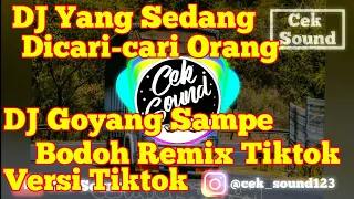 Download DJ Goyang Sampe Bodoh Remix Tiktok MP3