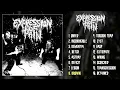 Expression of Pain - s/t LP FULL ALBUM (2021 - Grindcore)