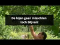 Download Lagu Wonen in Noorwegen | Bijenkorf gekregen?!