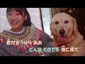 【カラオケ】レオ《優里》MV(On Vocal)±0