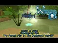 Wizard101 Rarest Fish in the Aztecan World - Catch It Fast