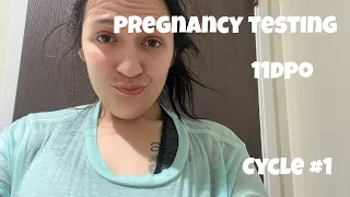 11dpo pregnancy testing BFN