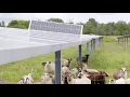 Panton Vermont s microgrid Fighting climate change