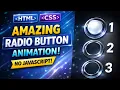 How to Create Radio Button UI Animation HTML CSS Only No JS