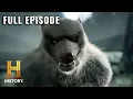MonsterQuest AMERICA S WOLFMAN CAUGHT ON FILM S4 E9 Full Episode History
