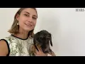 Jenny Walton s 1stDibs Finds in Her Milan Apartment