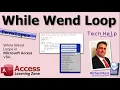 While Wend Loops in Microsoft Access VBA