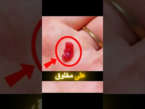 عثر الرجل على مخلوق غريب 👀🤔، ليكتشف حقيقته في النهاية 😯❤#shorts